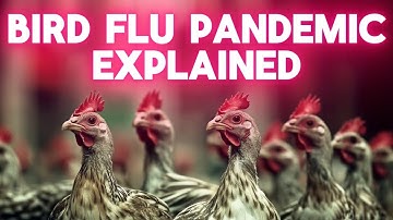 Bird Flu Pandemic Explained: What You Need to Know! 🧠 Brain Tenacity