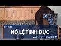 Cô gái nô lệ tình dục và cuộc thoát hiểm | VTC1