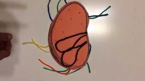 Module 2:video 4 redo again