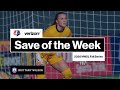 Verizon save of the week  brittany wilson orlando pride  nwsl fall series  week 6