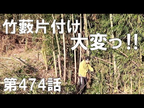 竹1m刈りこれまでの経過観察｜竹藪整備の新たな片付け方法試行 - YouTube