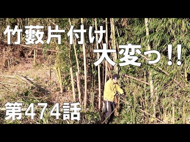 竹1m刈りこれまでの経過観察｜竹藪整備の新たな片付け方法試行 - YouTube