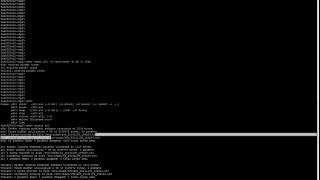 How to Capture a Packet Trace on a NetApp Storage Controller by Nicholas Lee Fagan