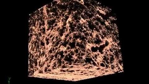 micro-CT imaging and analysis of lung tissue