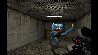 Garry's Mod but 5 Huggy Wuggy's Chase Me!