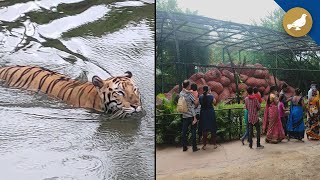 Hyderabad's Nehru Zoological Park reopen for visitors