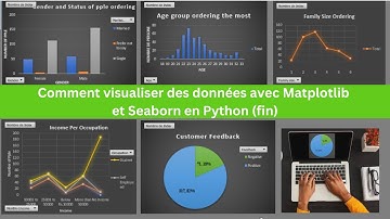 Comment visualiser des données avec Matplotlib et Seaborn en Python