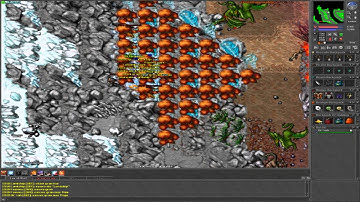 [Tibia] - Positive Global - Matando Botters!