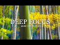 Deep Focus Music To Improve Concentration - 12 Hours of Ambient Study Music to Concentrate #576