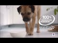 Hill’s Prescription Diet Canine i/d Digestive Care