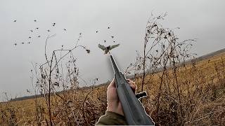 Ducks Were Flying The River.. So We Hunted The Field