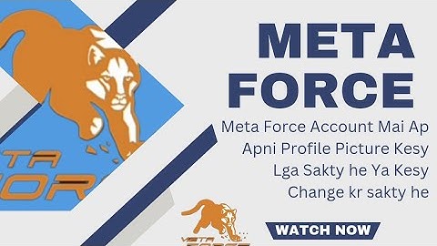 How to Add Your Profile Picture in Meta Force Account