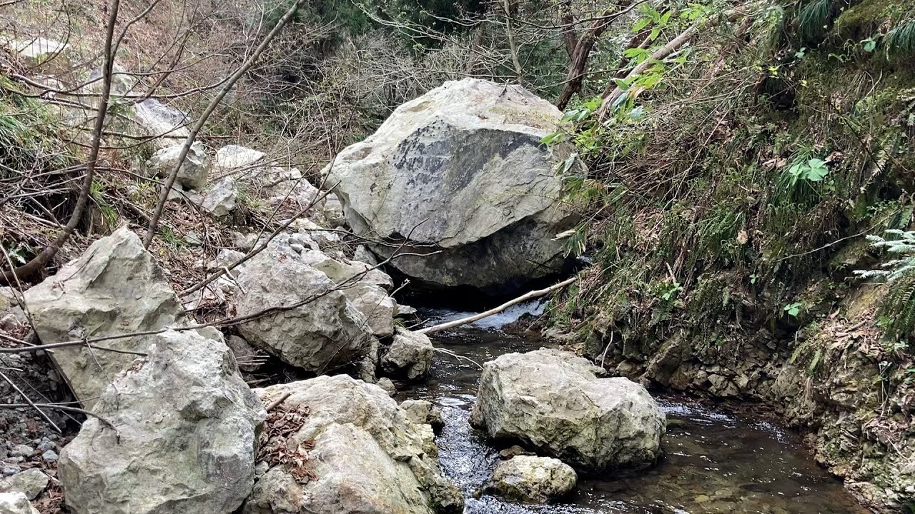 [渓流ミノー]ちょろ沢だと思っていたそこは、進むにつれて凄かった
