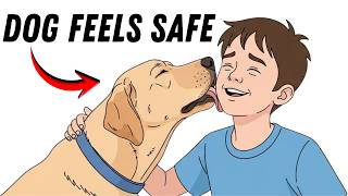 Do These 6 Things Daily And Your Dog'll Know You LOVE Them Net Worth