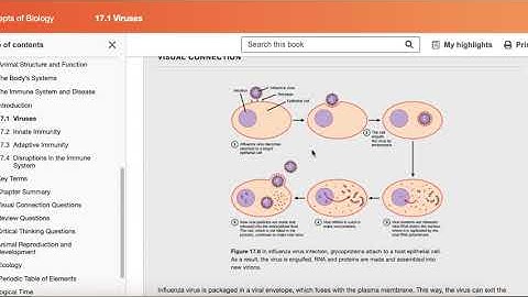 Video Overview Ch  17.1 Viruses OpenStax Biology