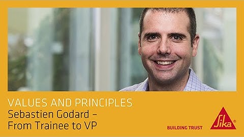 Values and Principles - From Trainee to VP