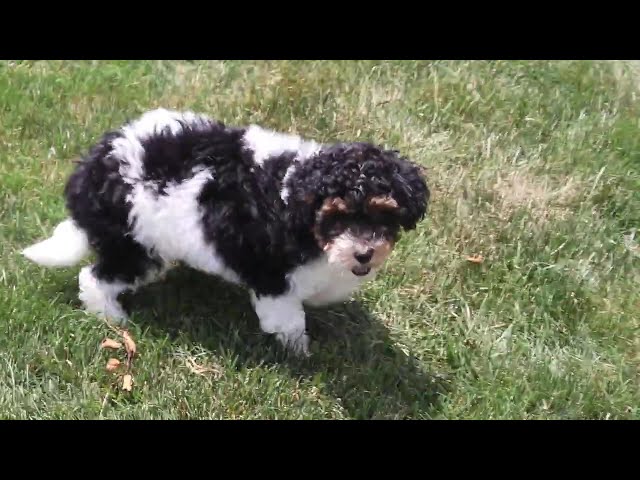 Kayla video thumbnail