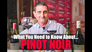 Everything You Need to Know About Pinot Noir