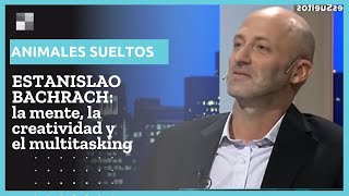 Estanislao Bachrach: CÓMO FUNCIONA EL CEREBRO - #AnimalesSueltos | Alejandro Fantino