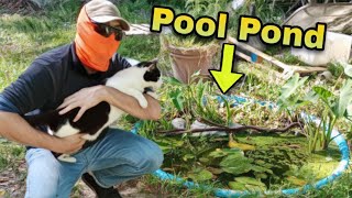 Pool Pond #3! Trying New Ideas