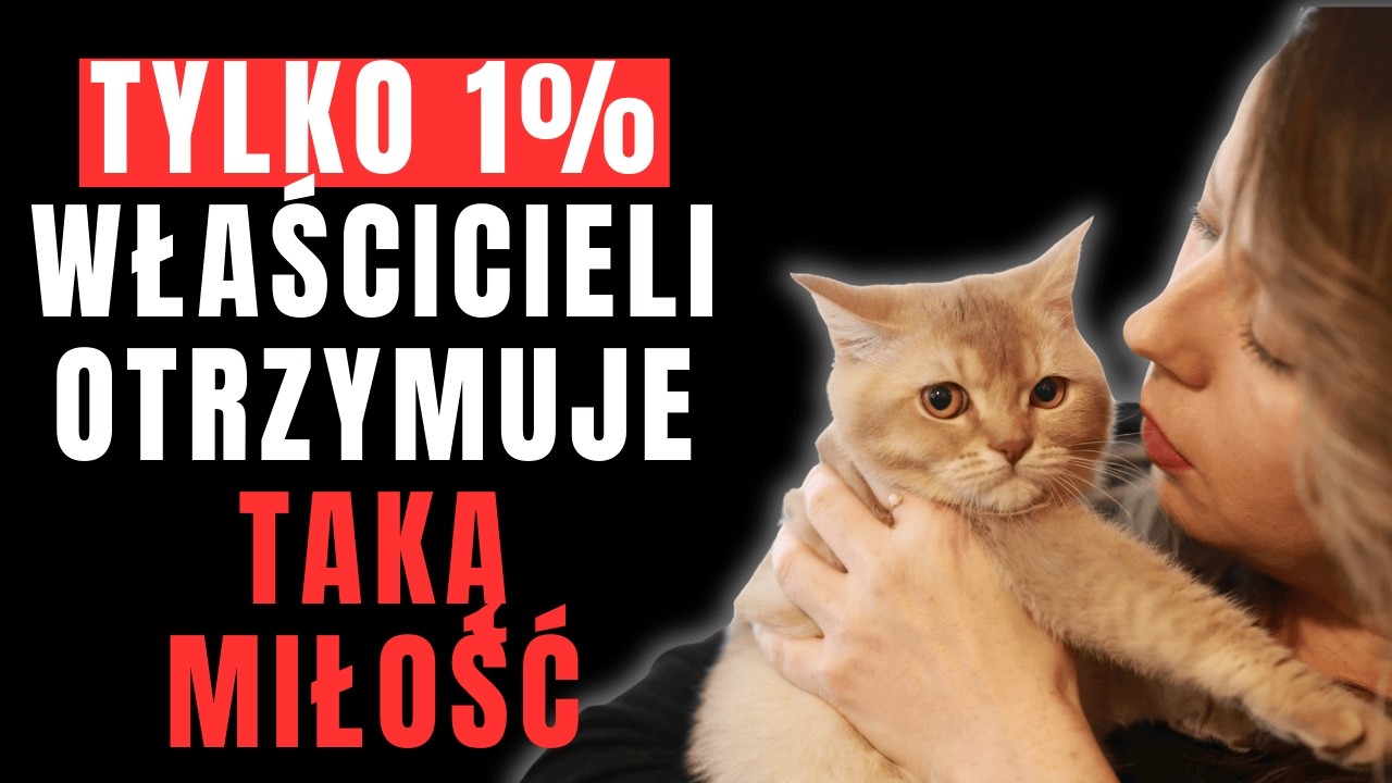 Tylko Koty, Które Naprawdę Kochają, Robią To (10 Rzadkich Zachowań)