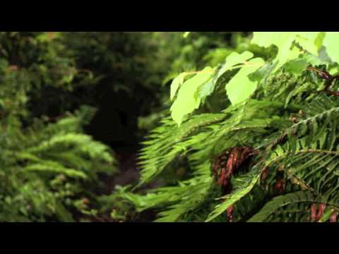 The River Runs Deep- Knowmads (clean version)
