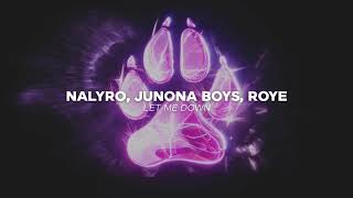 NALYRO, Junona Boys & Roye - Let Me Down  Resimi