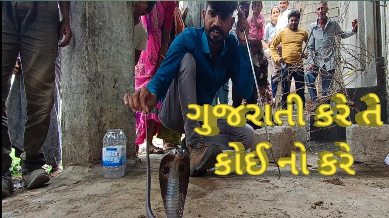 I Tried The Viral Gujarati Snake Guru Remedy
