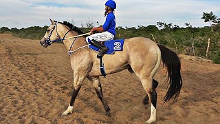 O cavalo baio brilhou no IV GP Hipódromo Água Fria!