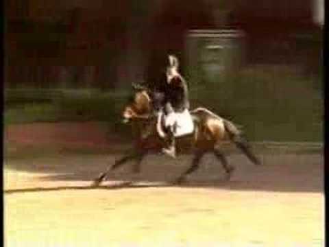 Erika Nieto Jumper horses "triplicando"