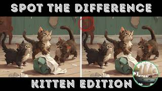 SPOT THE DIFFERENCE: Kitten Edition!! #brainteaser #spotthedifference #spotthedifferencegame #game