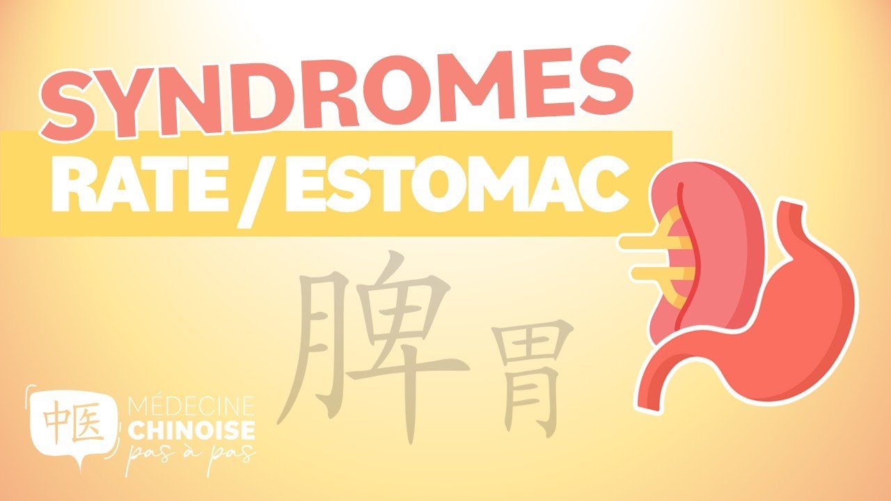 #40 - SYNDROMES de la RATE et de l’ESTOMAC en Médecine Chinoise