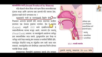 15.ध्वनी आठवी सामान्य विज्ञान Part 2 Dhwani class 8th science in marathi Sound