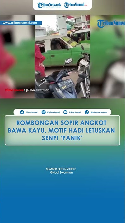 Rombongan Sopir Angkot Bawa Kayu, Motif Hadi Letuskan Senpi 'Panik'