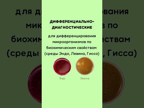 Микробиология. Виды питательных