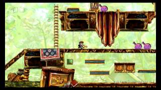 Braid mod Nova 5-2(1)