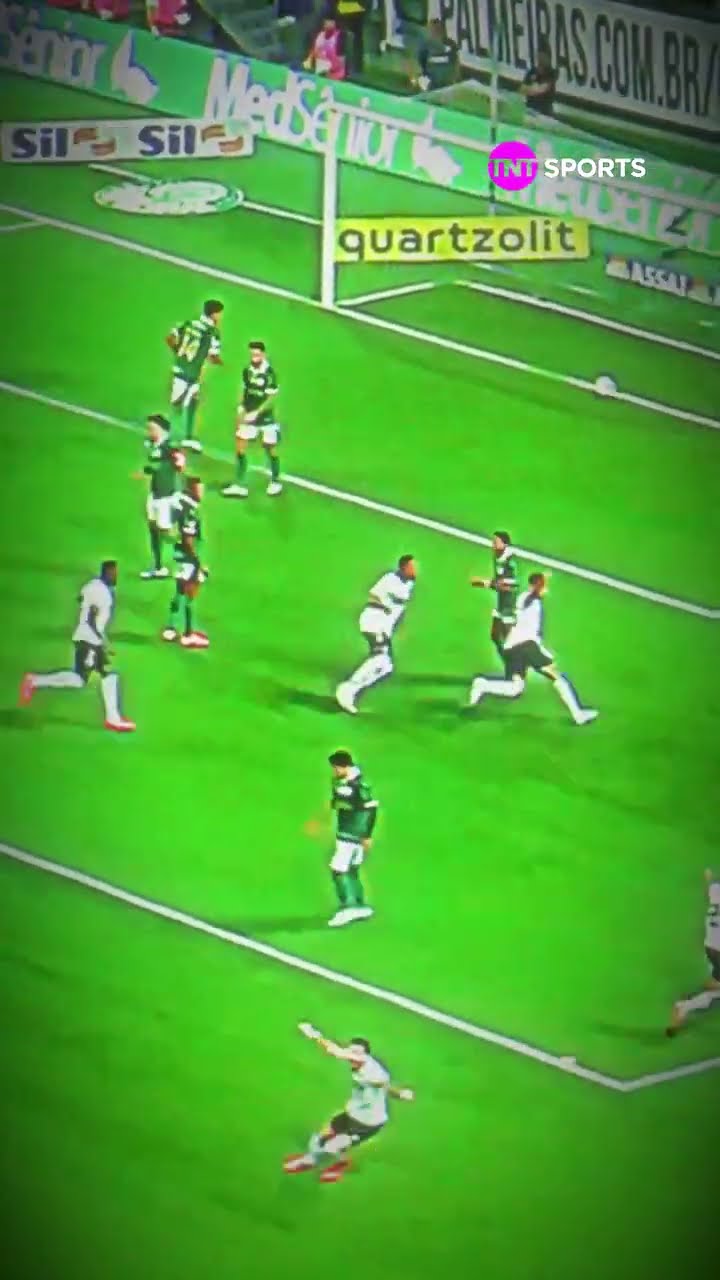O JOHN TEXTOR TIROU ONDA COM O PALMEIRAS E O BOTAFOGO ATROPELOU NO BRASILEIRÃO BETANO #shorts