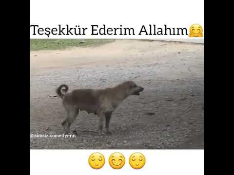 ahu tuğba kızı canlı yayında öpüşme programı