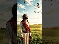 Look at the Birds… God Feeds Them | Matthew 6:26 LIKE&amp;SHARE🙏