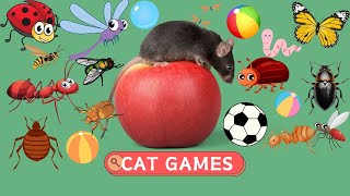 CAT GAMES | Interesting Games Compilation | CAT TV 🐝🐞🦋🦎🦜🐜🐭🧵