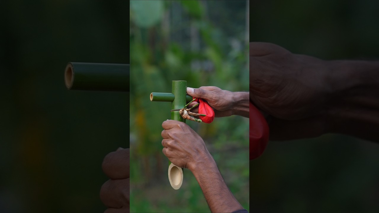 Creative Balloone and Bamboo Slingshots | Balloone popping crafts #Diy #Bamboo #Slingshots