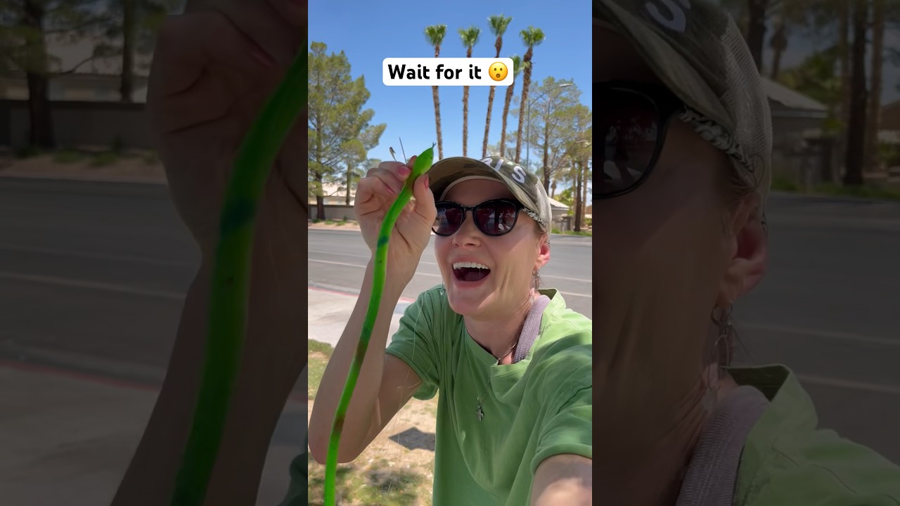 someone please get him new pair of pants and dry underwear 🤣😂