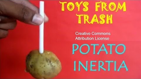 POTATO INERTIA  | Indonesian | Inersia Pada Kentang