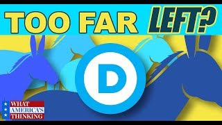 Famous Is the Democratic Party moving too far left? Net Worth