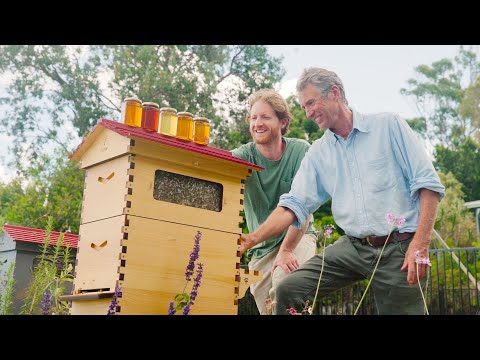 Flow Hive - The world's most innovative beehive