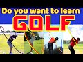 Do you want to learn golf swing  wn1 sports