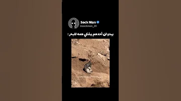 ليش سعر البندق ارتفع 