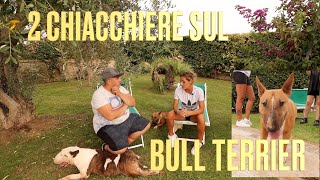 Bull Terrier  2 chiacchiere con Sara russo ed i suoi stupendi Bull Terrier