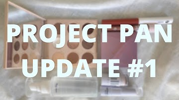 Project Pan Update #1 | Plus a Shop My Stash Rotation, Some Empties, a Mini Declutter, and a Break