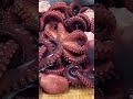 マダコの授業、茹で方